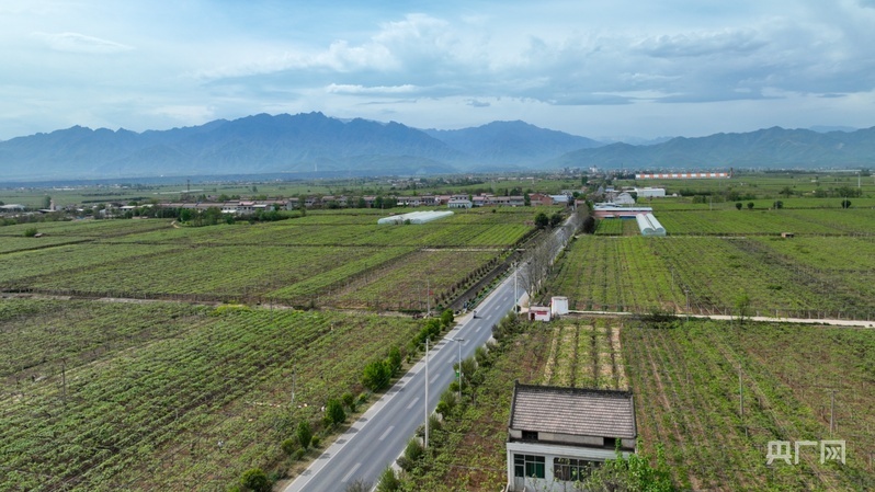 鄉路上，感受脈動中國——美麗鄉路服務提質，地標鮮果助力振興